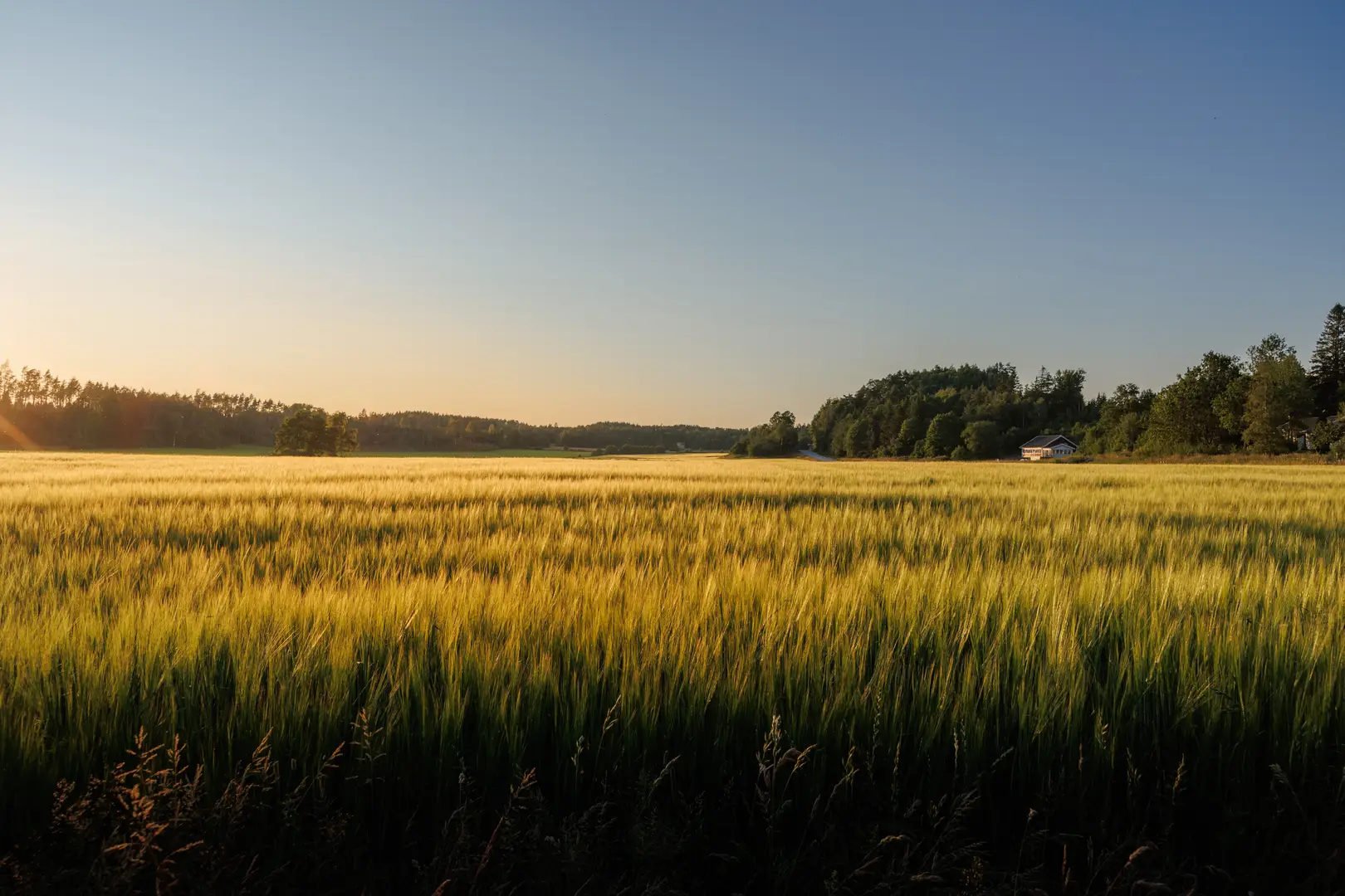 Radonsanering Bollnäs